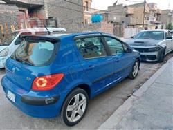 بیجۆ 307